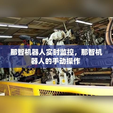 那智機(jī)器人實(shí)時(shí)監(jiān)控，那智機(jī)器人的手動操作 