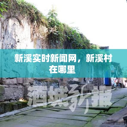 技術(shù)支持 第206頁