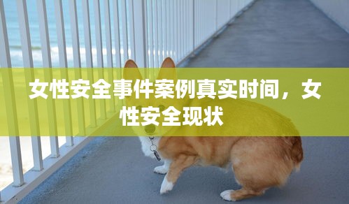 女性安全事件案例真實時間，女性安全現(xiàn)狀 