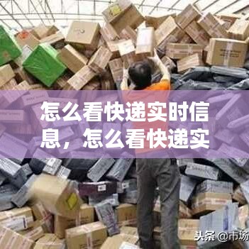 怎么看快遞實(shí)時(shí)信息，怎么看快遞實(shí)時(shí)動(dòng)態(tài) 
