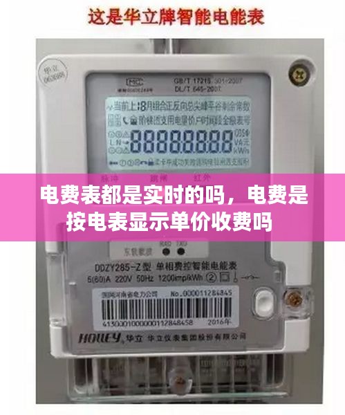 電費(fèi)表都是實(shí)時(shí)的嗎，電費(fèi)是按電表顯示單價(jià)收費(fèi)嗎 