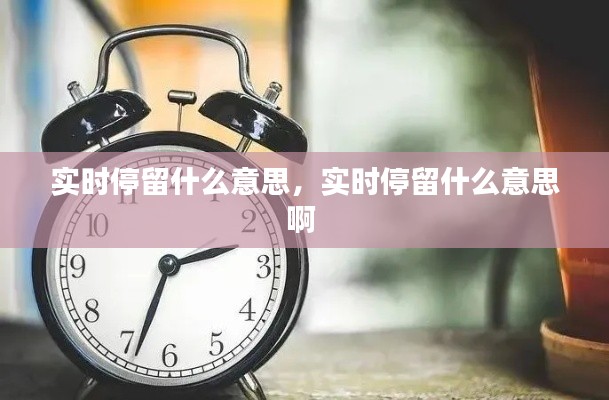 實(shí)時(shí)停留什么意思，實(shí)時(shí)停留什么意思啊 
