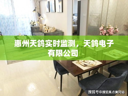 惠州天鴿實(shí)時(shí)監(jiān)測(cè)，天鴿電子有限公司 