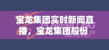 寶龍集團(tuán)實(shí)時(shí)新聞直播，寶龍集團(tuán)股份 
