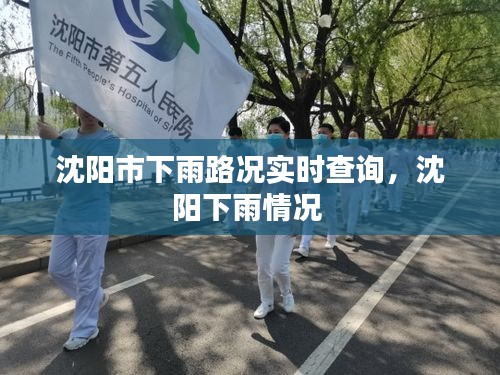 沈陽市下雨路況實(shí)時(shí)查詢，沈陽下雨情況 