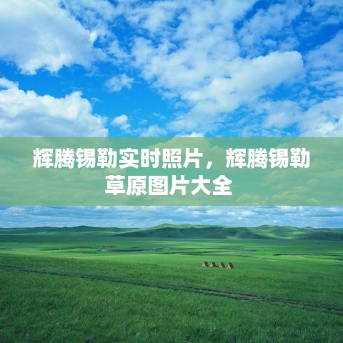 輝騰錫勒實(shí)時(shí)照片，輝騰錫勒草原圖片大全 