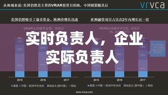 實時負責人，企業(yè)實際負責人 