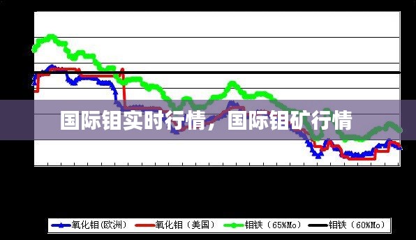 國際鉬實時行情，國際鉬礦行情 
