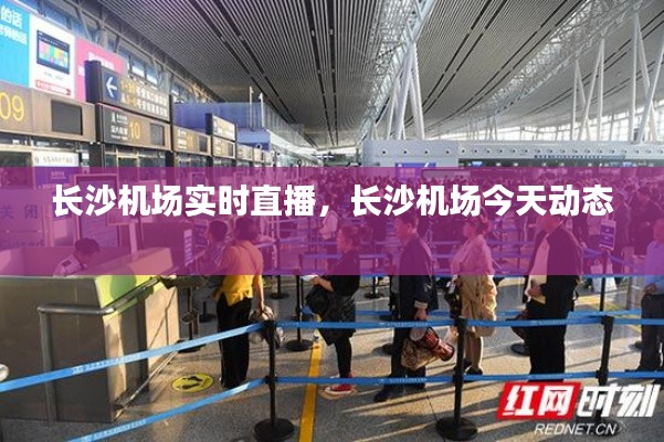 長(zhǎng)沙機(jī)場(chǎng)實(shí)時(shí)直播，長(zhǎng)沙機(jī)場(chǎng)今天動(dòng)態(tài) 