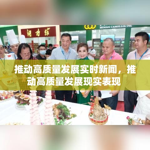 推動(dòng)高質(zhì)量發(fā)展實(shí)時(shí)新聞，推動(dòng)高質(zhì)量發(fā)展現(xiàn)實(shí)表現(xiàn) 