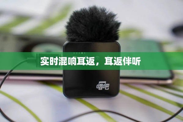 實(shí)時(shí)混響耳返，耳返伴聽 