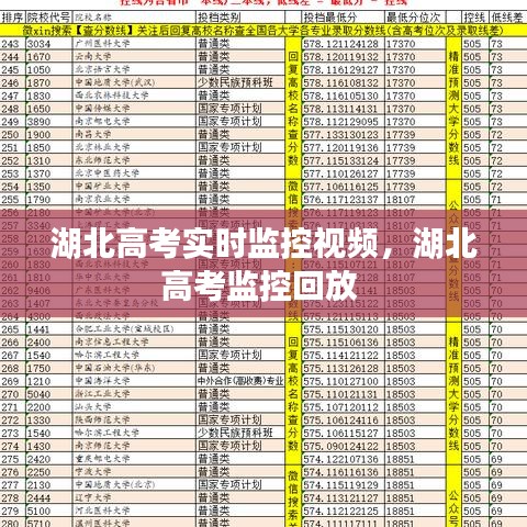 湖北高考實時監(jiān)控視頻，湖北高考監(jiān)控回放 