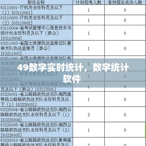 49數(shù)字實時統(tǒng)計，數(shù)字統(tǒng)計軟件 