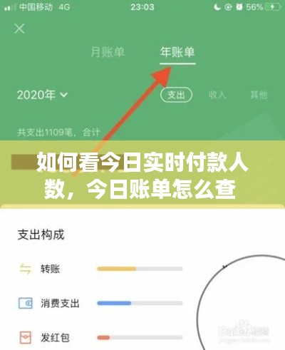 如何看今日實時付款人數(shù)，今日賬單怎么查 