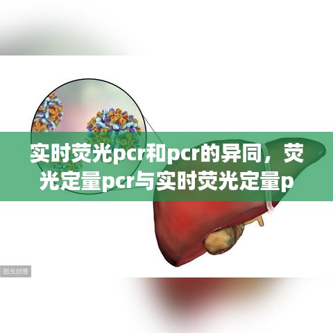 實時熒光pcr和pcr的異同，熒光定量pcr與實時熒光定量pcr有啥區(qū)別 