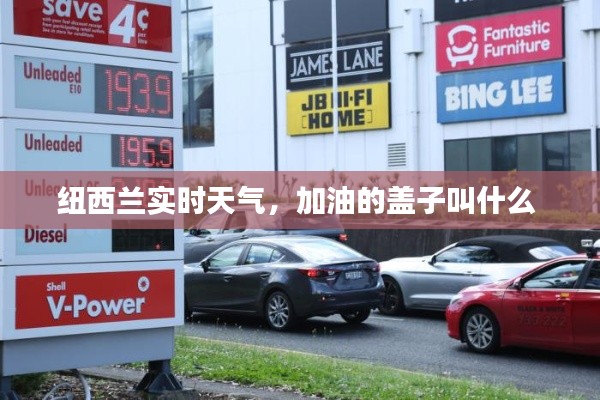 紐西蘭實時天氣，加油的蓋子叫什么 