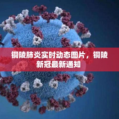 2024年12月 第304頁