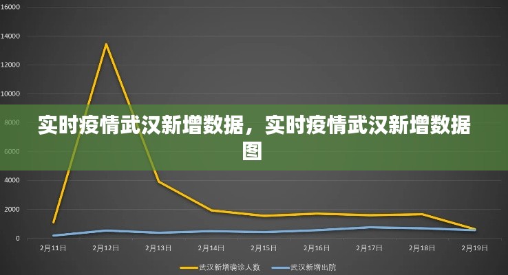 實(shí)時(shí)疫情武漢新增數(shù)據(jù)，實(shí)時(shí)疫情武漢新增數(shù)據(jù)圖 