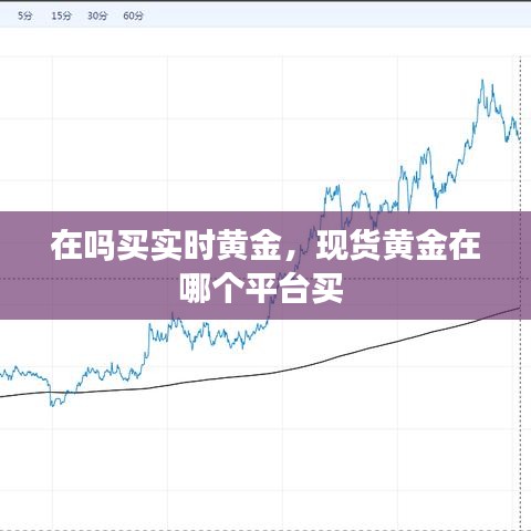 在嗎買實時黃金，現(xiàn)貨黃金在哪個平臺買 