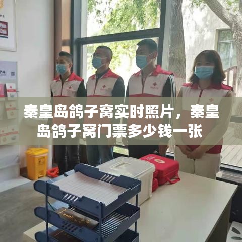 秦皇島鴿子窩實時照片，秦皇島鴿子窩門票多少錢一張 
