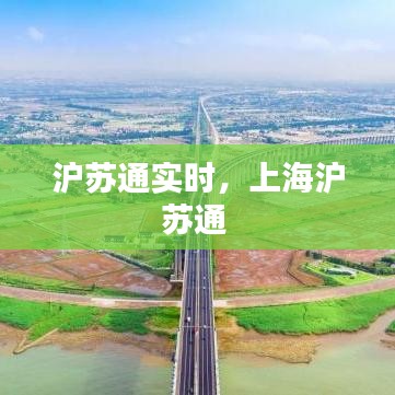 滬蘇通實(shí)時(shí)，上海滬蘇通 