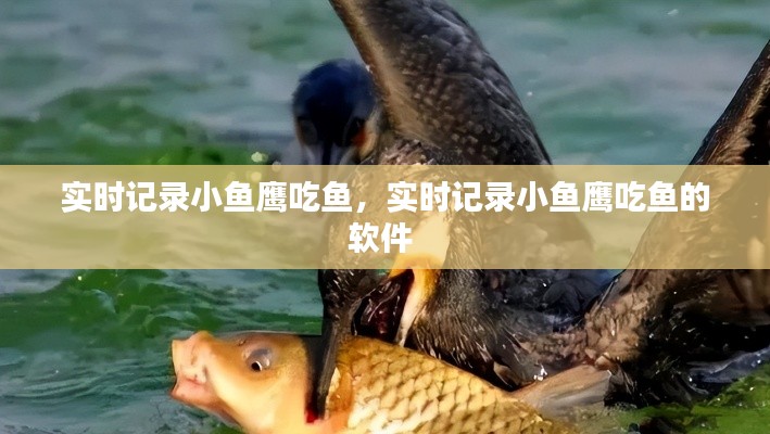 張弓挾矢 第2頁(yè)