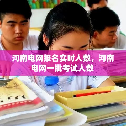 河南電網(wǎng)報名實時人數(shù)，河南電網(wǎng)一批考試人數(shù) 