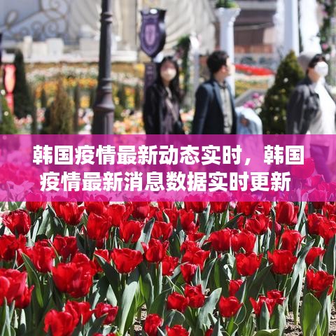 韓國疫情最新動態(tài)實時，韓國疫情最新消息數(shù)據(jù)實時更新 