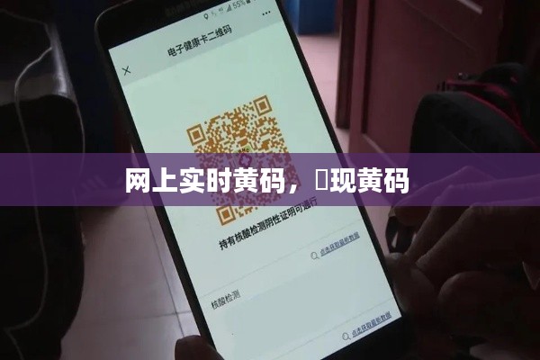 網(wǎng)上實(shí)時(shí)黃碼，岀現(xiàn)黃碼 