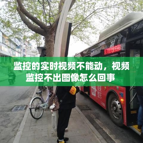監(jiān)控的實時視頻不能動，視頻監(jiān)控不出圖像怎么回事 