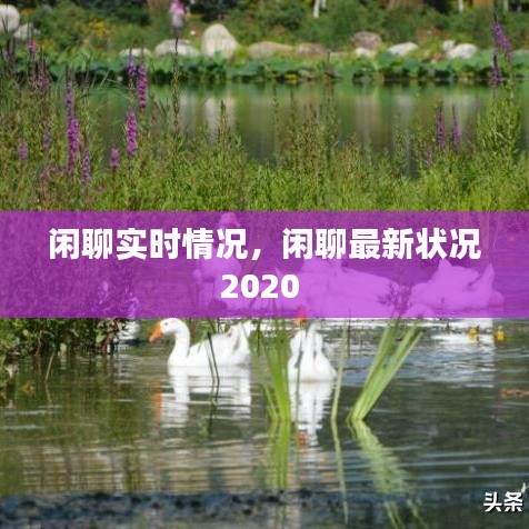 閑聊實(shí)時(shí)情況，閑聊最新狀況2020 