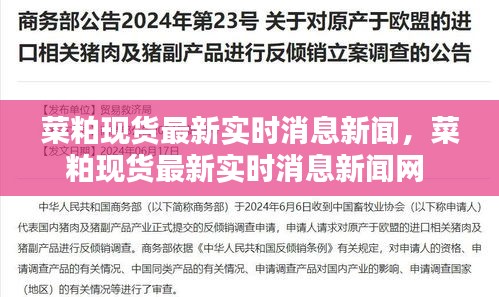 菜粕現(xiàn)貨最新實時消息新聞，菜粕現(xiàn)貨最新實時消息新聞網(wǎng) 