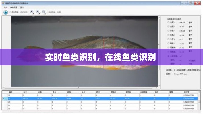 實(shí)時(shí)魚類識(shí)別，在線魚類識(shí)別 