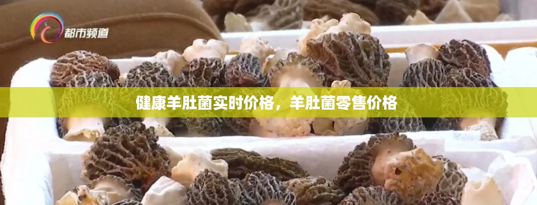 健康羊肚菌實(shí)時(shí)價(jià)格，羊肚菌零售價(jià)格 