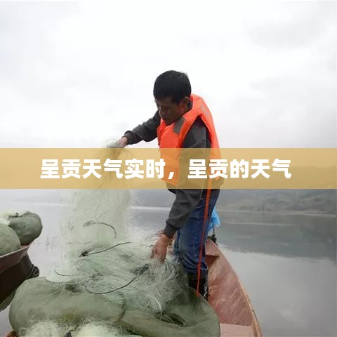 呈貢天氣實(shí)時(shí)，呈貢的天氣 