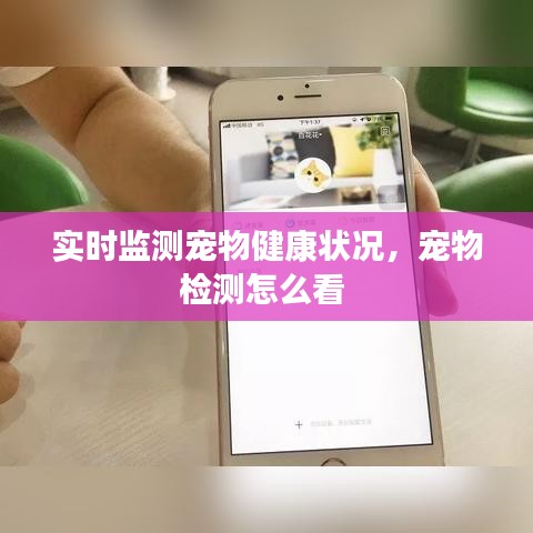 實時監(jiān)測寵物健康狀況，寵物檢測怎么看 