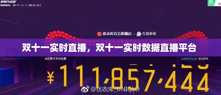雙十一實(shí)時(shí)直播，雙十一實(shí)時(shí)數(shù)據(jù)直播平臺 