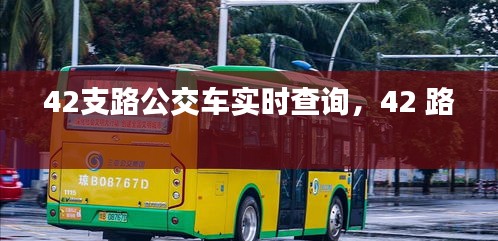 42支路公交車實(shí)時(shí)查詢，42 路 