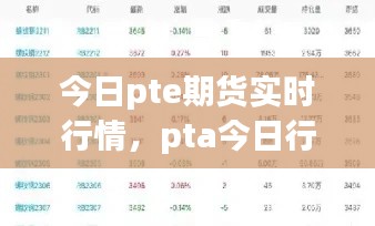 今日pte期貨實(shí)時(shí)行情，pta今日行情 
