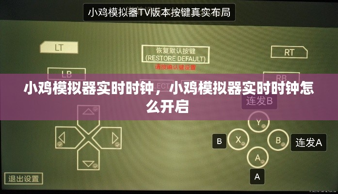 小雞模擬器實時時鐘，小雞模擬器實時時鐘怎么開啟 