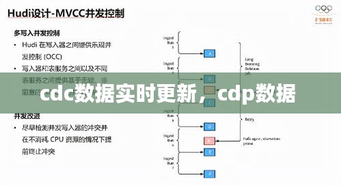 cdc數(shù)據(jù)實時更新，cdp數(shù)據(jù) 