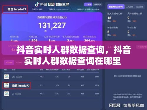 抖音實時人群數(shù)據(jù)查詢，抖音實時人群數(shù)據(jù)查詢在哪里 