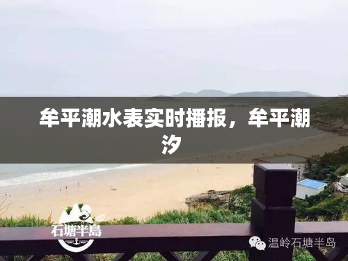 牟平潮水表實(shí)時(shí)播報(bào)，牟平潮汐 