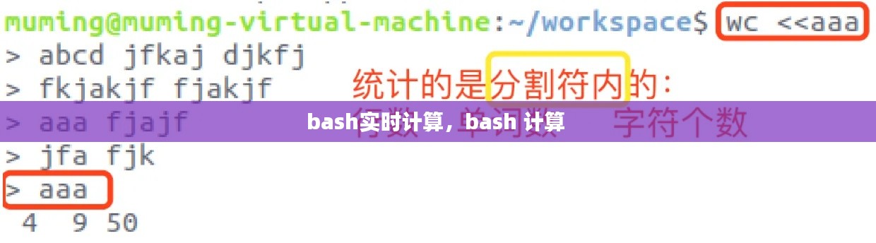 bash實(shí)時(shí)計(jì)算，bash 計(jì)算 