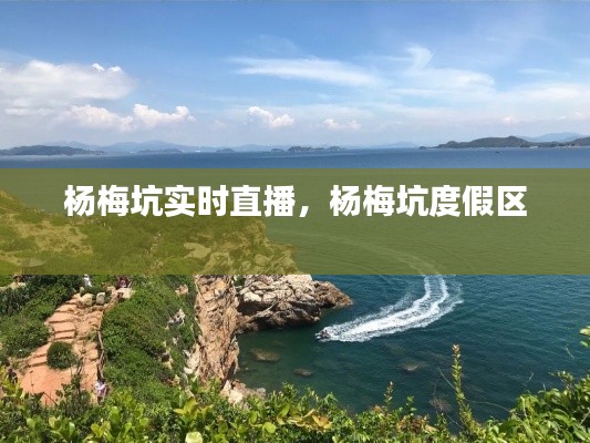 楊梅坑實時直播，楊梅坑度假區(qū) 