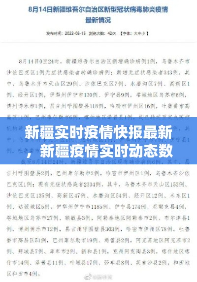 新疆實時疫情快報最新，新疆疫情實時動態(tài)數(shù)據(jù) 