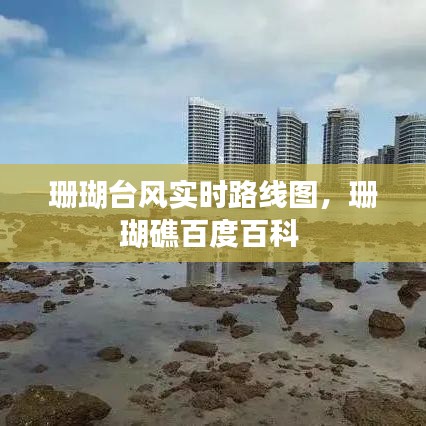 珊瑚臺風(fēng)實時路線圖，珊瑚礁百度百科 
