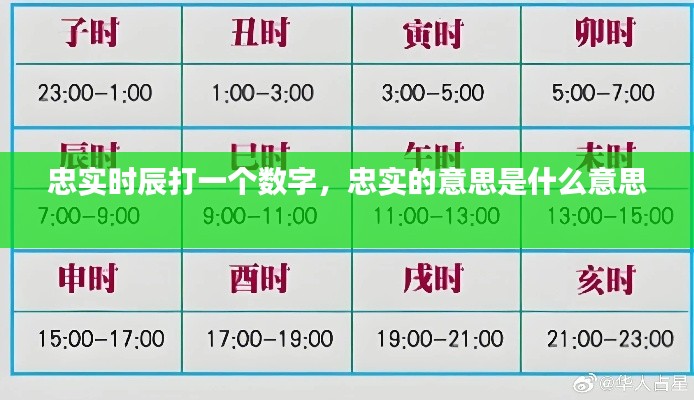 忠實時辰打一個數(shù)字，忠實的意思是什么意思 