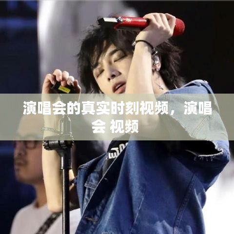 演唱會的真實時刻視頻，演唱會 視頻 