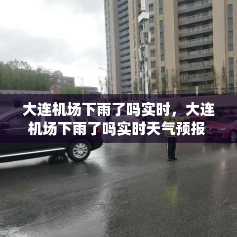大連機(jī)場(chǎng)下雨了嗎實(shí)時(shí)，大連機(jī)場(chǎng)下雨了嗎實(shí)時(shí)天氣預(yù)報(bào) 